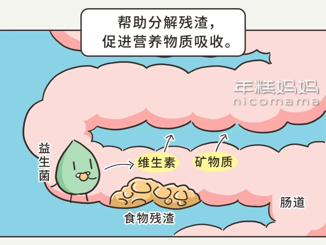 买益生菌需要问医生吗,买益生菌时注意事项