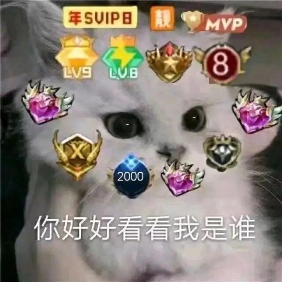 凹凸世界嘉德罗斯表情包沙雕图片,沙雕表情包大全超搞笑