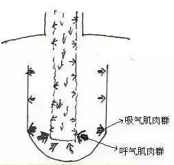 歌唱家颤音技巧和发声方法,唱歌技巧唱不出高音怎么练