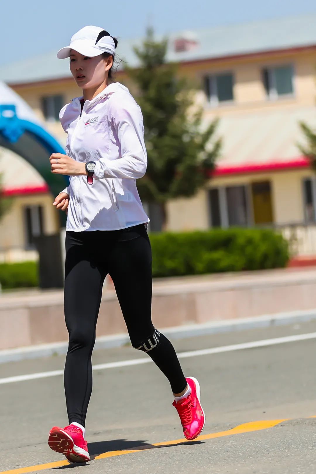 杨家玉夺冠全过程,杨家玉个人资料简介