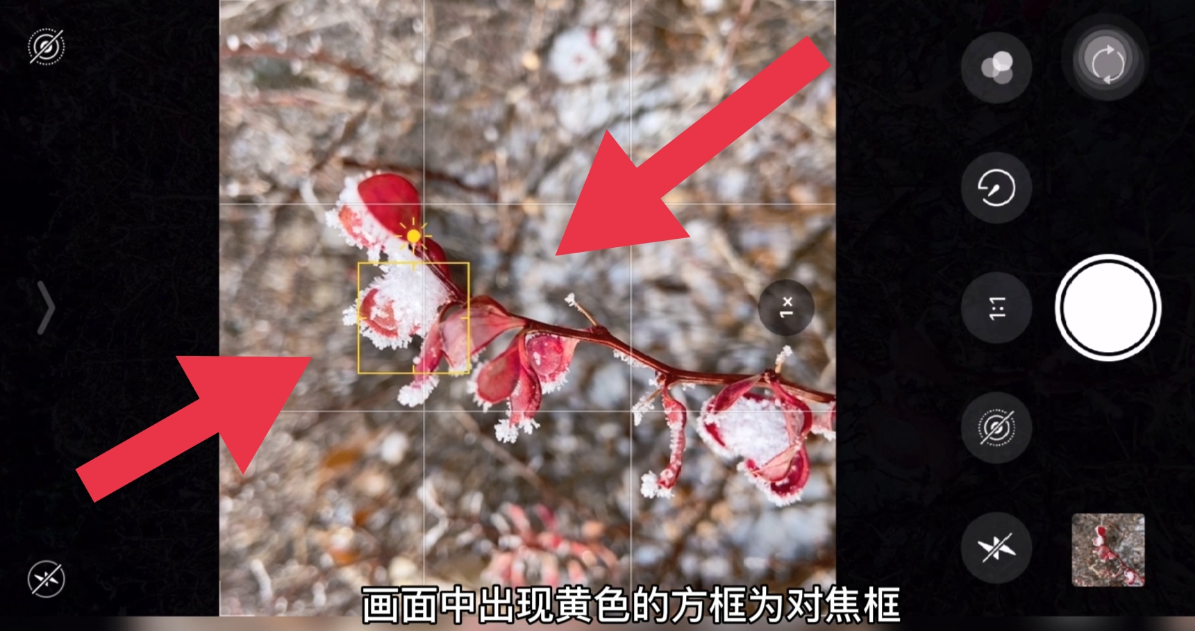 苹果手机拍照需要注意什么,一学就会的iphone手机摄影技巧