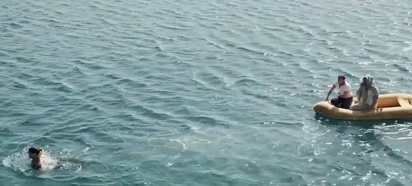 士兵被困海岛上,士兵被困在海上吃鲨鱼