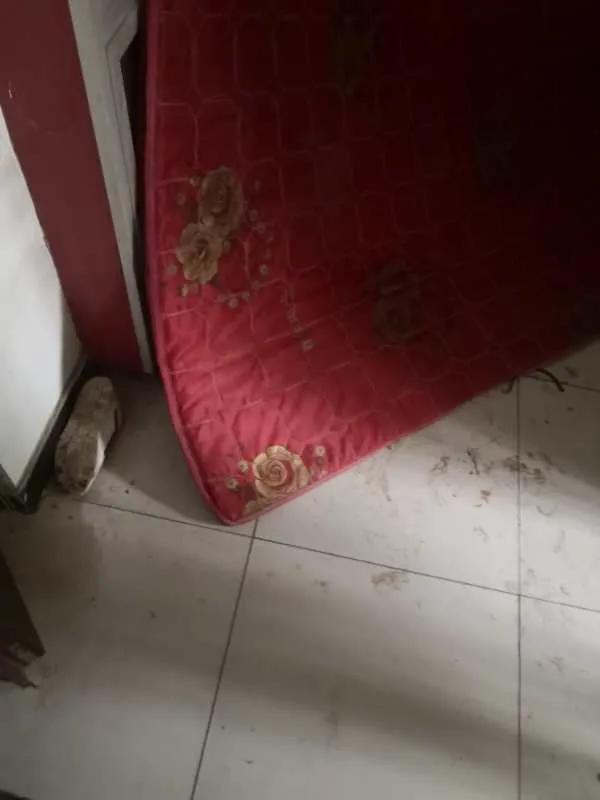 河北施工电梯事故,河北衡水电梯事故处理