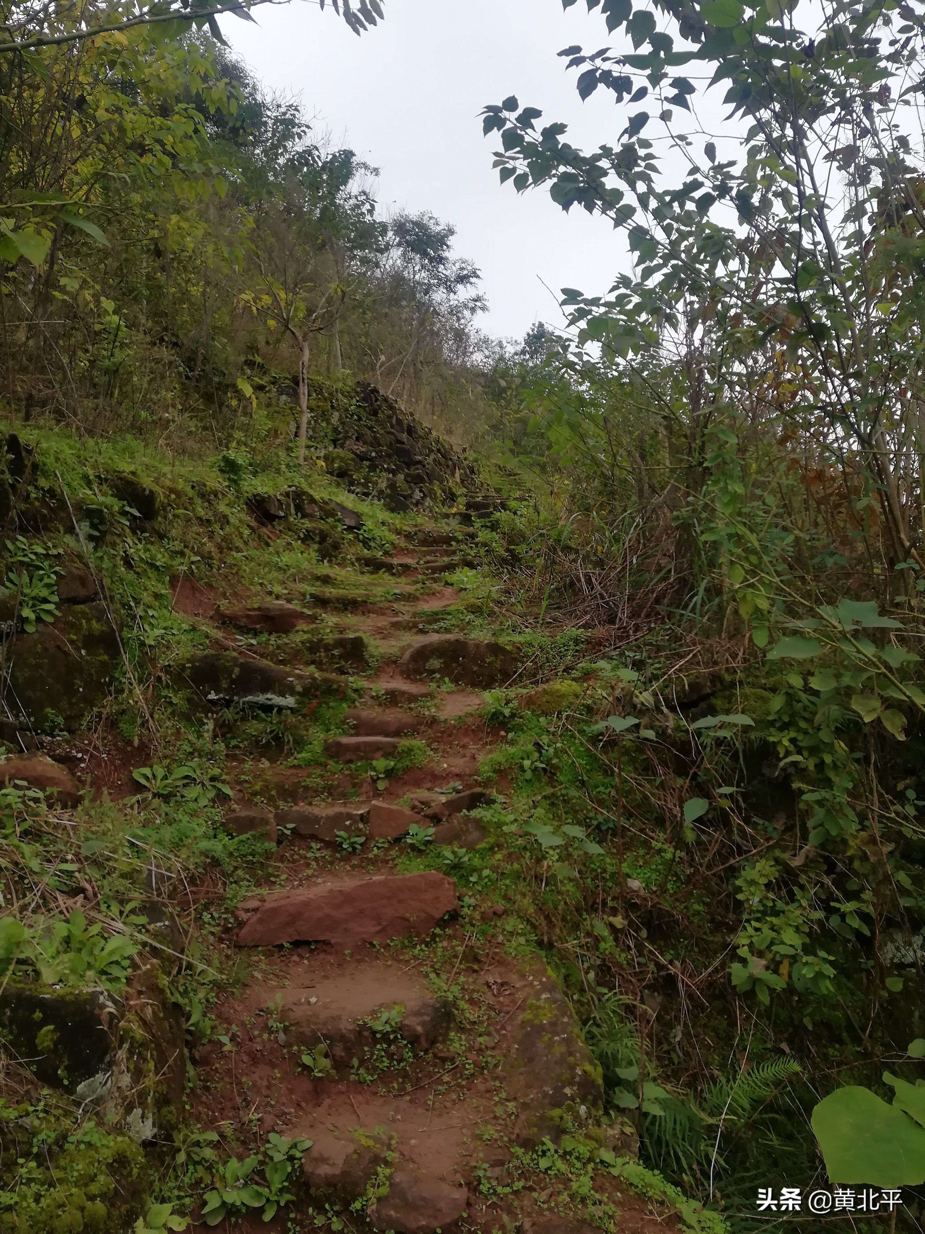 唐家大院唐家是怎么没落的,重庆唐家院子来历