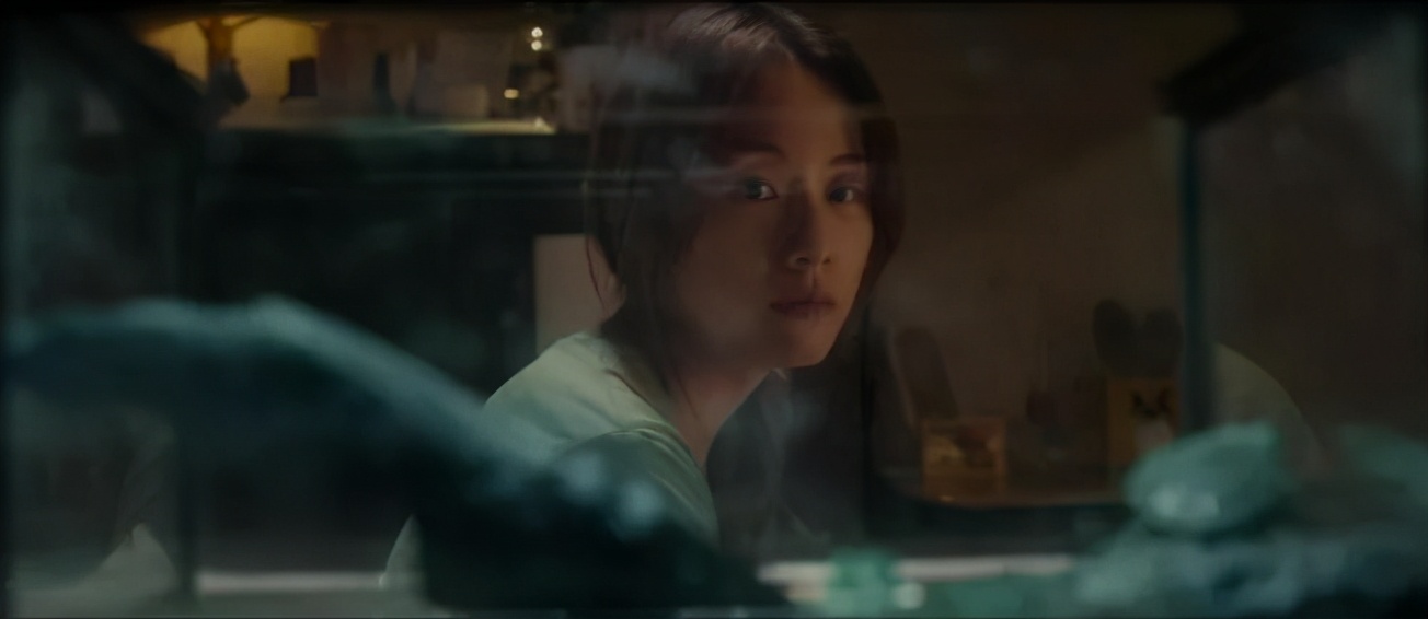 国内没有公映的国产片,没有公映的国产片