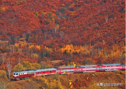 滨绥铁路是电气化铁路吗,滨绥铁路290公里