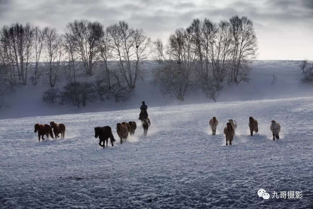 大美坝上草原全景,大美坝上风光系列之一