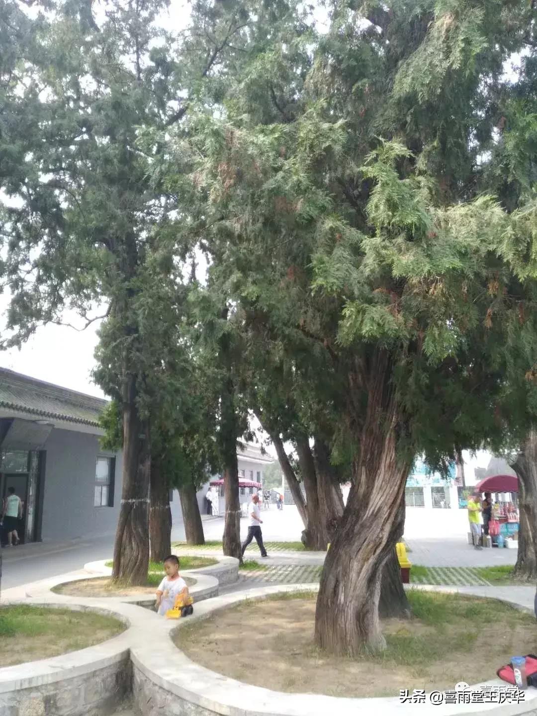 草原行蔚县,内蒙古草原行