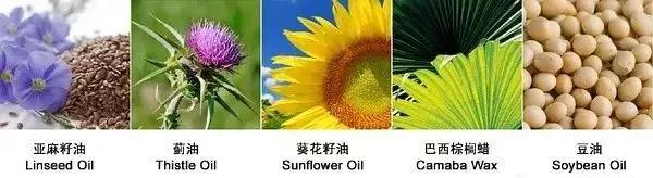 从刷涂料到乳胶漆的过程,桐油漆与水性油漆的优缺点