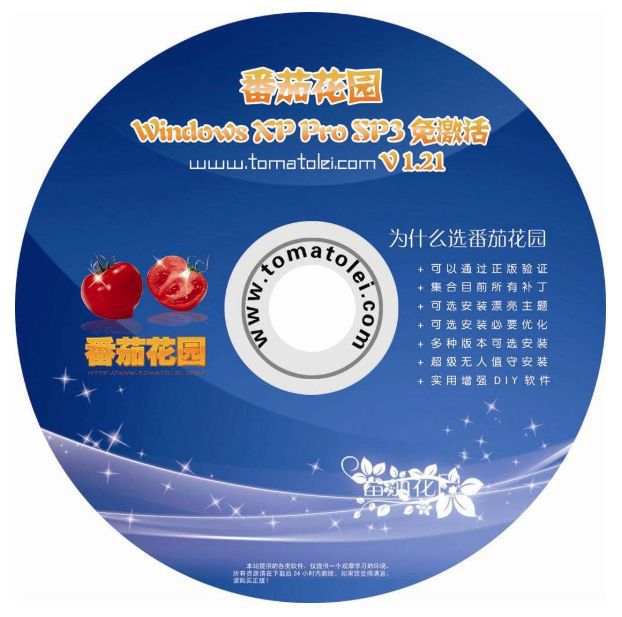 三维弹球windowsxp,windowsxp直接升级为windows10