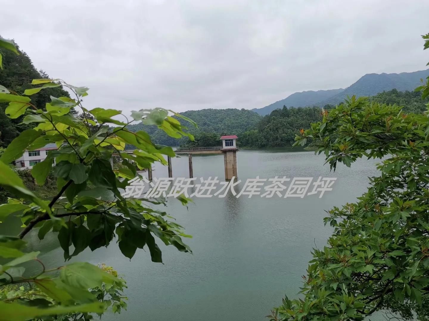 农村治脚气的土方子中华医药,湘西老中医治疗脚气的药方