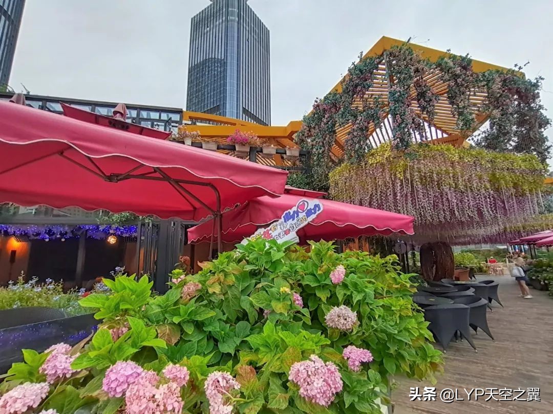 兰州美食探店西关十字,兰州小资有格调餐厅