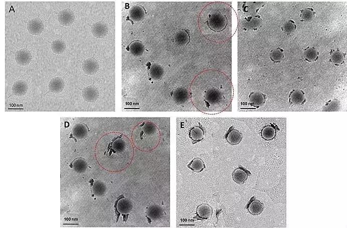 化学界最新新闻,化学文章撤稿