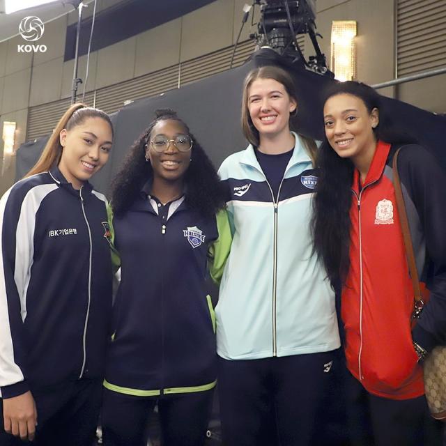 李多英李多贤是双胞胎吗,排坛美人