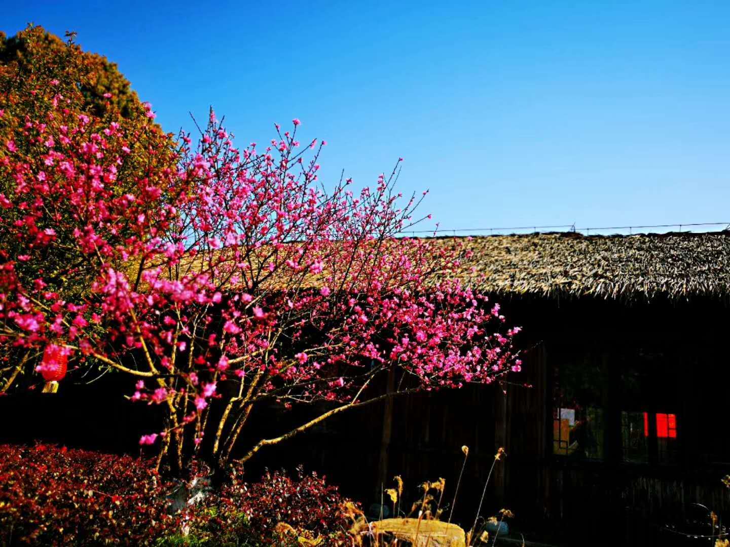 表示除了的介词,表对于的介词