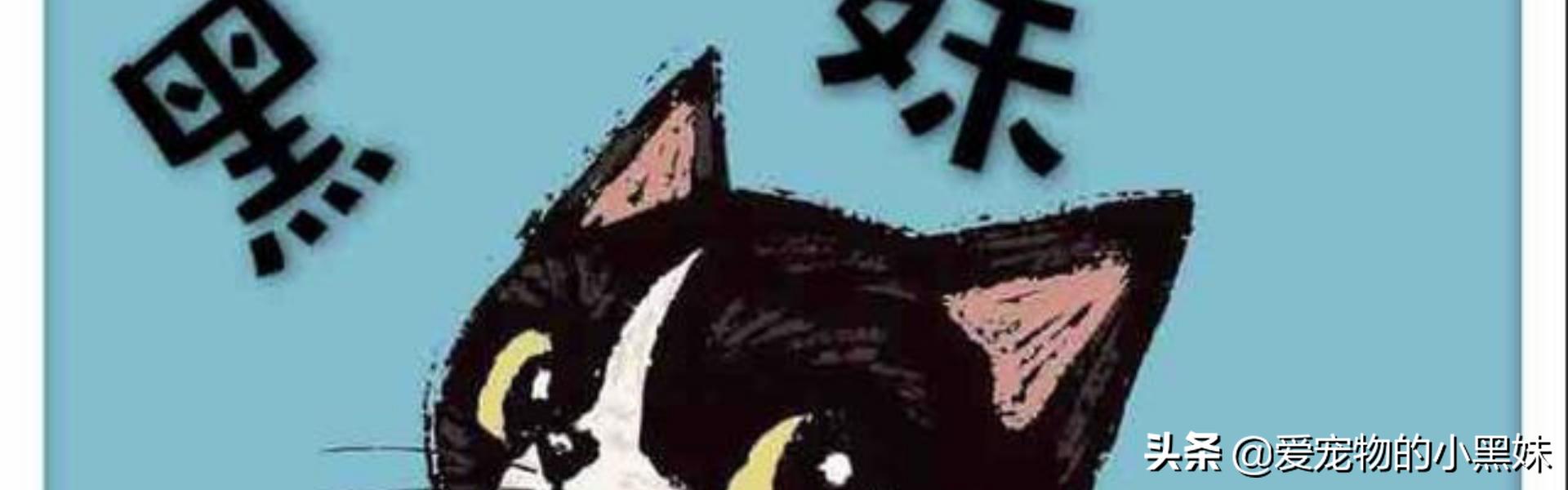 宠物皮肤病专辑：犬猫足部皮炎的鉴别诊断以及调查程序