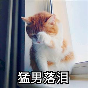 重新安装cad无法启动,autocad2008无法安装