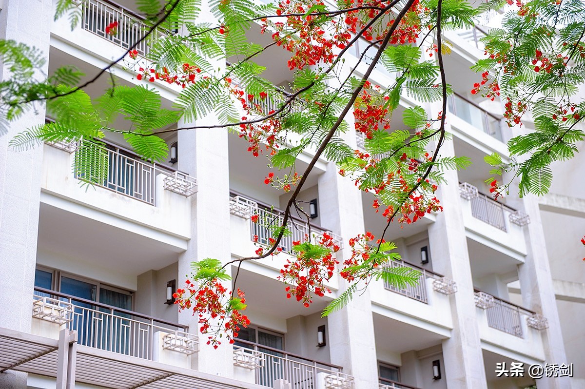 三亚康年酒店促销,今年春节三亚会火爆吗