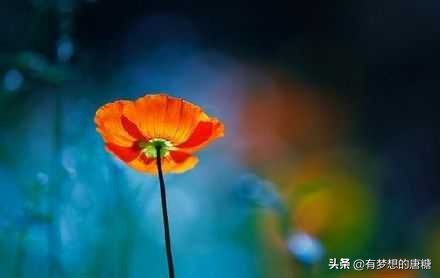 心理学怎么处理愤怒,心理学面对别人的恶意攻击不能忍