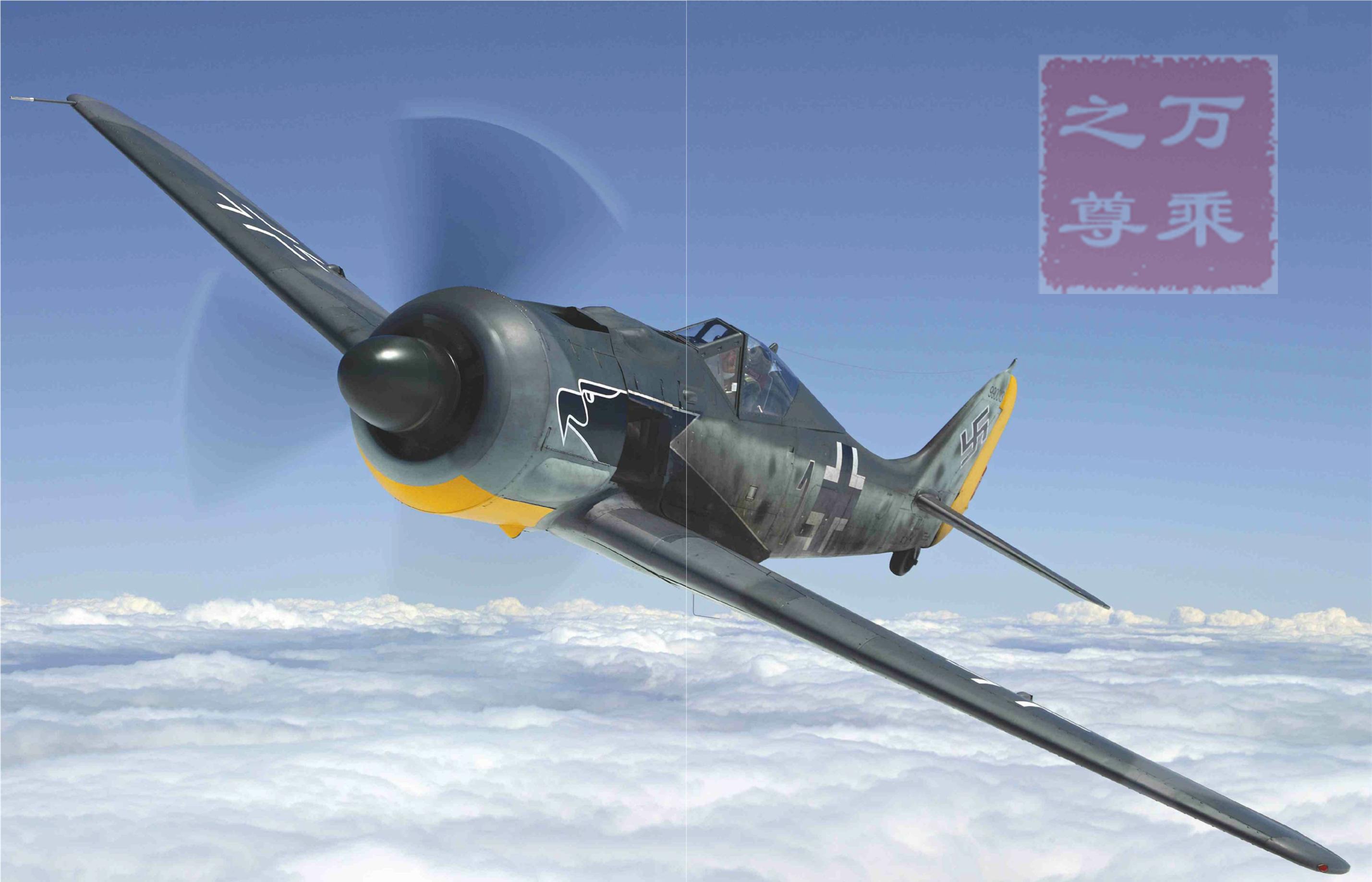 fw190战斗机和p51战斗机作战视频,p51战斗机和f6f战斗机对比