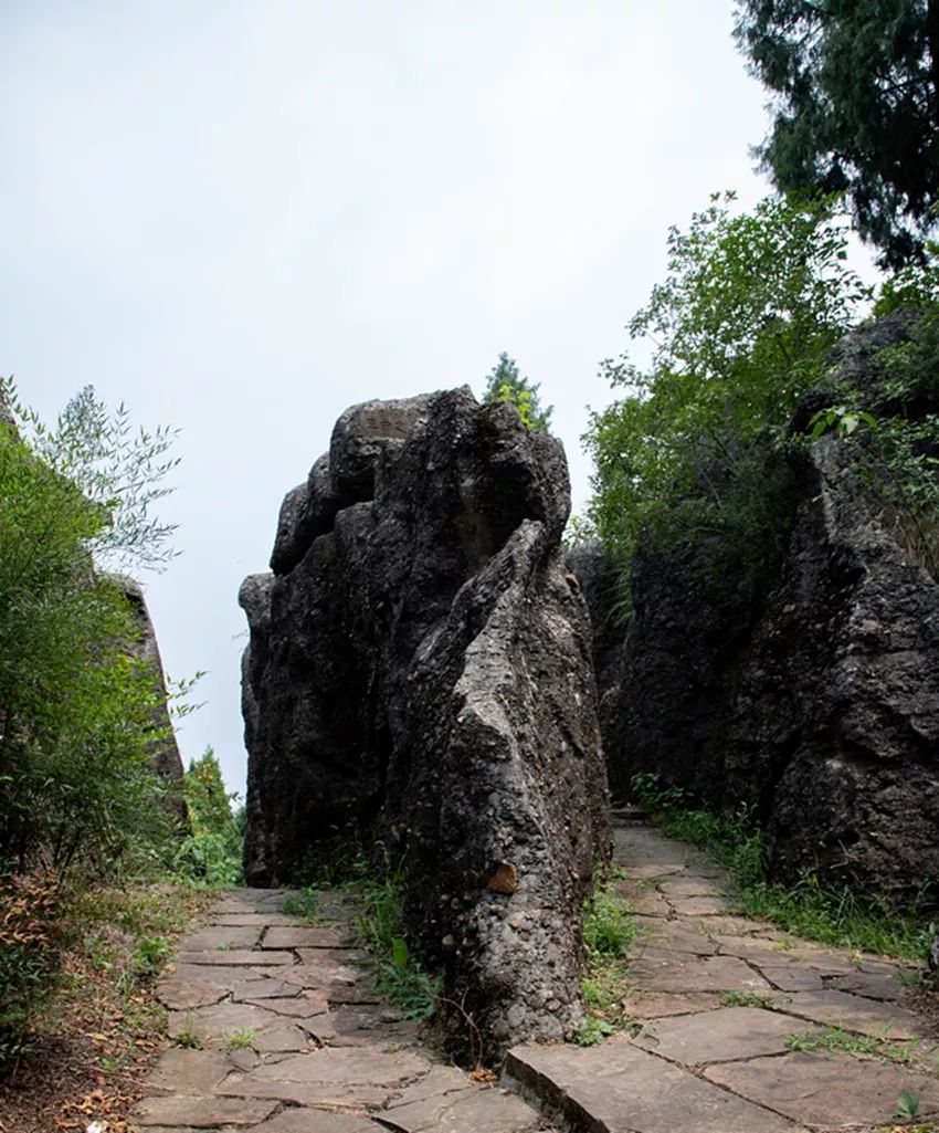 又是人间四月天踏青赏花正当时,正是人间芳菲时