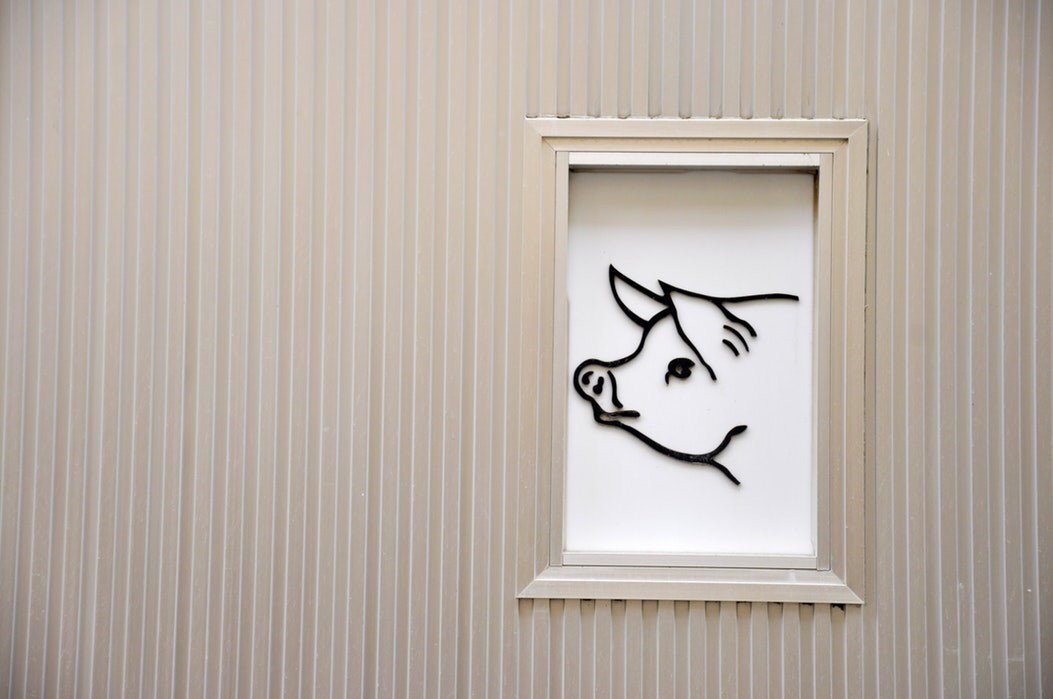 2019犯太岁生肖名单及化解锦囊,2019年犯太岁的生肖讲解