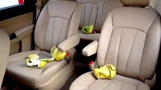 果皮和醋真的可以除甲醛吗,绿植去甲醛的真实功效