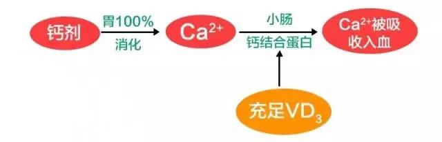 给宝宝补钙了为什么还缺钙,给宝宝补钙了吗
