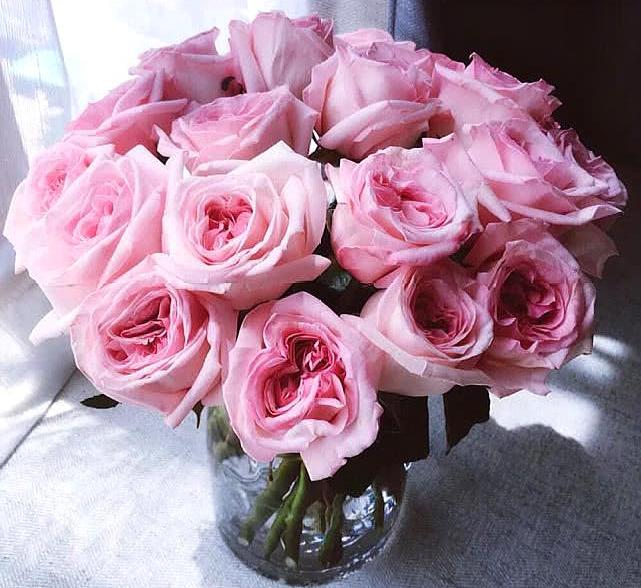 职场爱情43集完整版,职场爱情34集