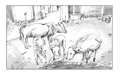 风刮过歌曲原唱,风刮过的配音