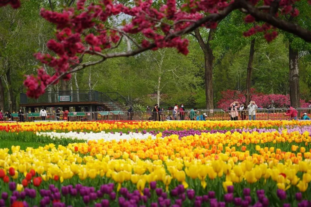 安全出行宝典,北京安全出游好去处