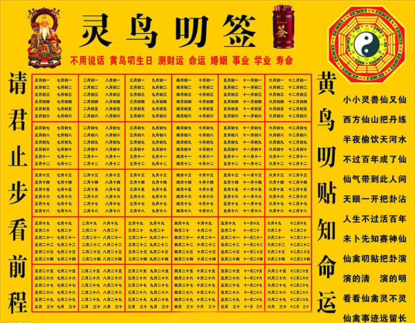 学算卦占卜入门,跟我学易经视频全集