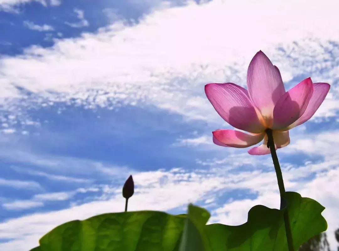 雄安必玩,雄安可以去的地方