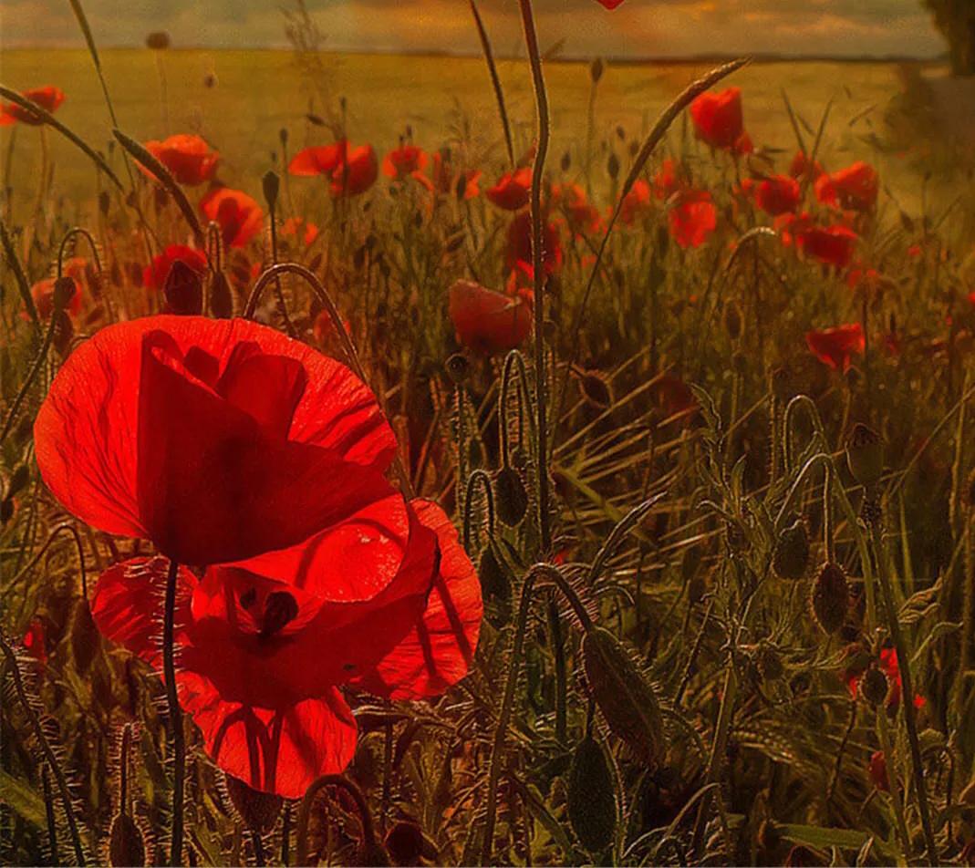 人情淡薄世态炎凉,人情淡薄世态炎凉的社会