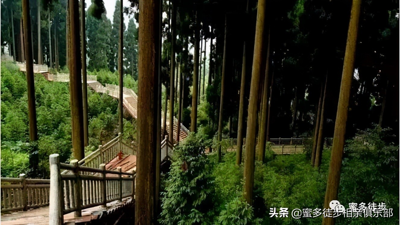 成都周边小众景点,四川峨眉山七里坪美景