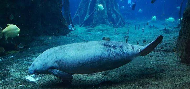 珠海长隆海洋王国附近住宿攻略,珠海长隆海洋王国三人住两天一夜