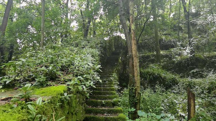 黔南第一山在什么地方,黔南第一山在哪里