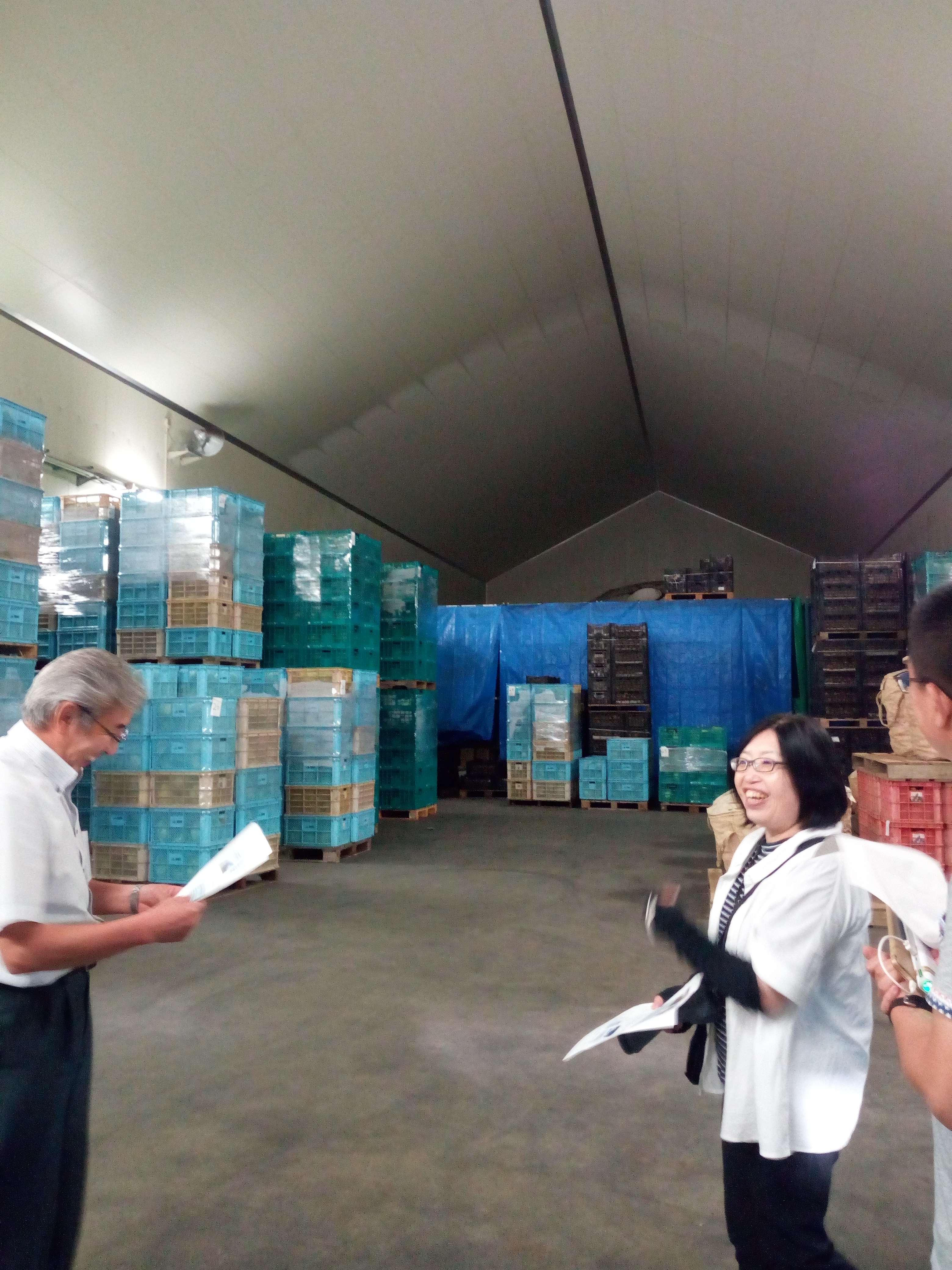 果蔬保鲜技术研究现状及发展趋势,果蔬保鲜储存技术参数表