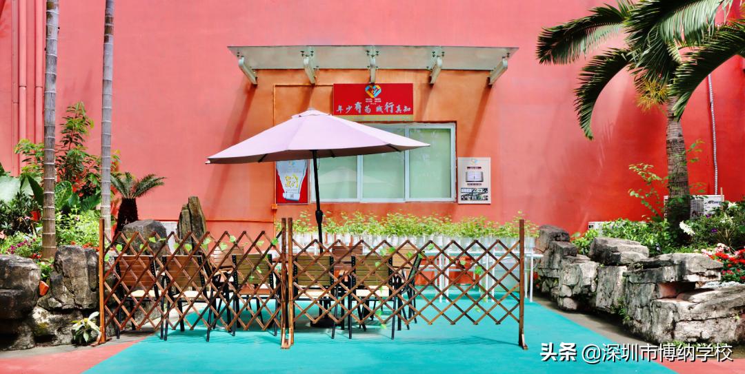 深圳南山这所宝藏国际学校，带你去打卡