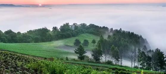 林业生态旅游科普,林草科普