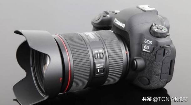 佳能尼康!新手选单反相机,推荐这几款机型,你get到了吗