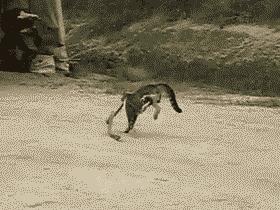 幼儿园里的神秘怪物,超吓人幼儿园