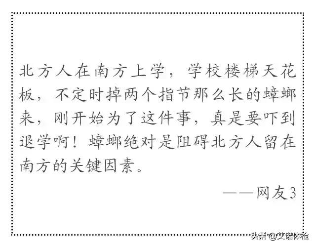 一只它=40多种细菌！你家也藏了有，衣服食物千万别沾上