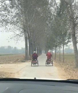 教科书式搞笑gif,搞笑gif图看得我也想去学跳舞了