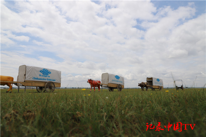 中国“最强最美”的四线城市，名气比肩新一线，非常受游客欢迎