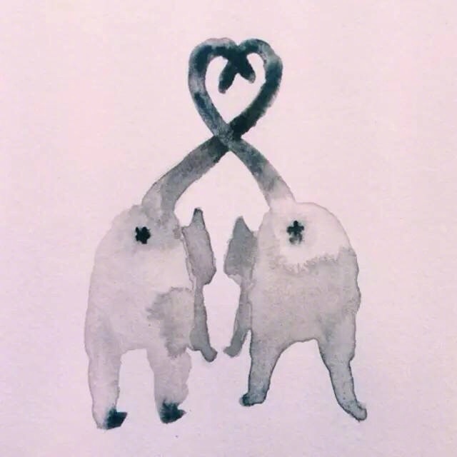 猫咪发情怎么办，教你如何处理猫咪发情