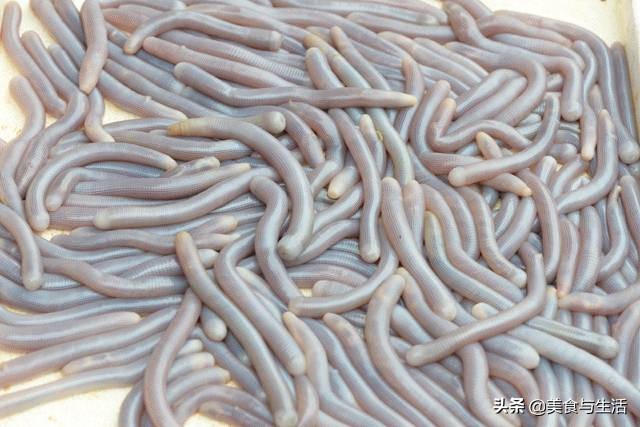 国内有名的海鲜市场,并不是北京新发地,而是广东黄沙水产市场