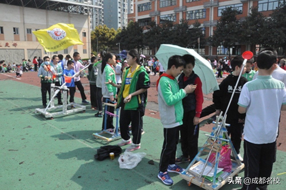 趣味十足的跳蚤市场,跳蚤市场有趣活动