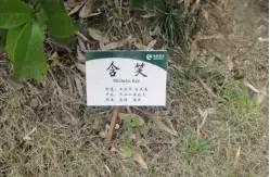 物业温情服务手册,物业暖心服务有哪些推荐