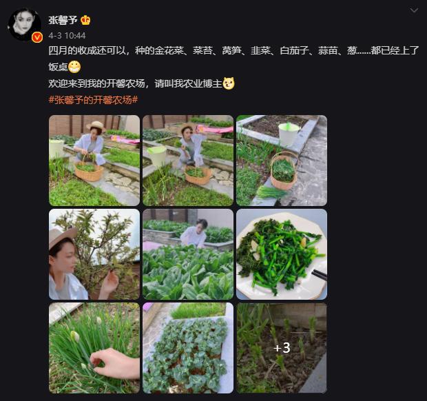 适合懒人家庭种菜100种,家里种菜这3种就够了